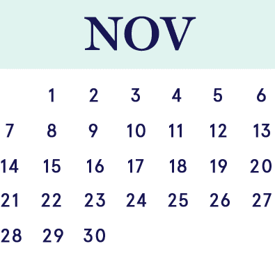 Desktop_Access_Calendar_11_NOV